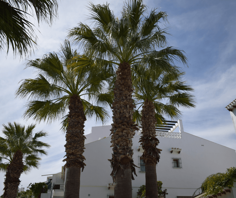 Why is it worth investing in property in Spain?